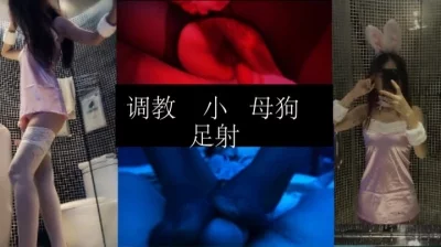 管家婆单机破解版